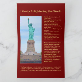 USA 1895 $5 Liberty Half Adler Note Card Karte