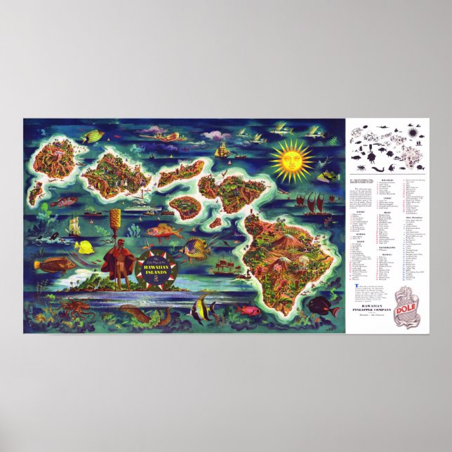" USA: 1950/heute Hawaii - Dole Vintag Reise ... Poster (Vorne)
