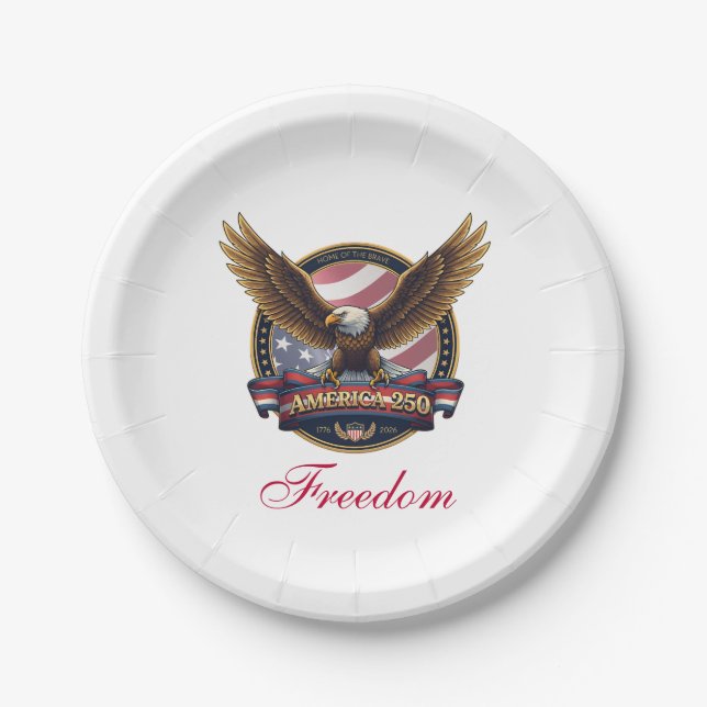USA 250th Anniversary Party Pappteller (Vorderseite)