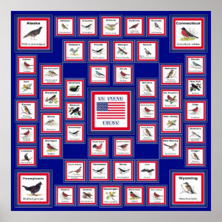USA 50 STAAT BIRDS BLUE/552 POSTER