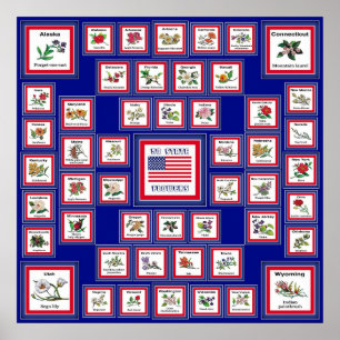 USA 50 STAAT BLUME BLUE/558 POSTER