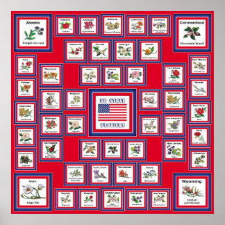 USA 50 STAAT BLUME RED/560 POSTER