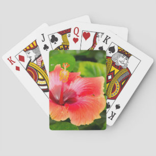 USA, Alabama, Theodore Near Mobile 4 Spielkarten