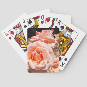 USA, Alabama, Theodore Near Mobile 5 Spielkarten