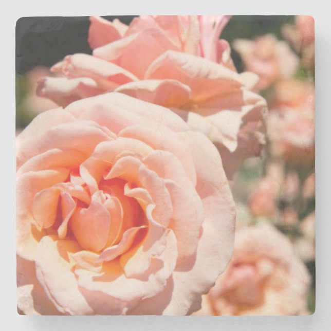 USA, Alabama, Theodore Near Mobile 5 Steinuntersetzer (Vorderseite)