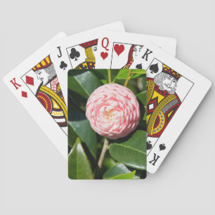 USA, Alabama, Theodore Near Mobile Spielkarten