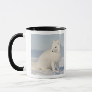USA, Alaska, 1002 Küstenebene der Arktis 5 Tasse
