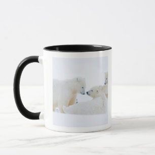 USA, Alaska, 1002 Küstenebene der Arktis Tasse