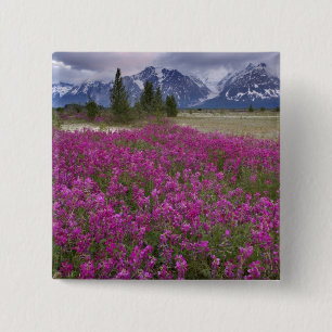 USA, Alaska, Alsek River Valley. Ansicht von Button