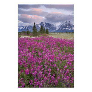 USA, Alaska, Alsek River Valley. Ansicht von Fotodruck