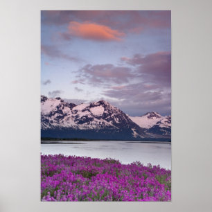 USA, Alaska, Alsek River Valley. Blick auf Alsek Poster