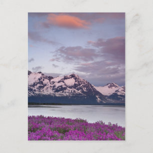 USA, Alaska, Alsek River Valley. Blick auf Alsek Postkarte