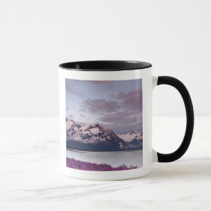 USA, Alaska, Alsek River Valley. Blick auf Alsek Tasse