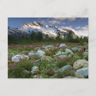 USA, Alaska, Alsek-Tatshenshini Wilderness. Ansehe Postkarte