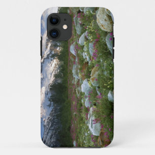 USA, Alaska, Alsek-Tatshenshini-Wilderness. Ansich Case-Mate iPhone Hülle
