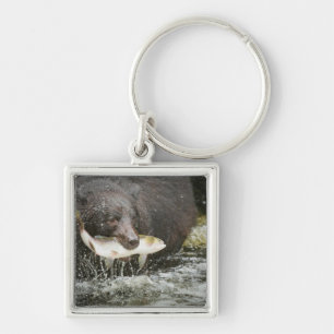 USA, Alaska, Anan Creek. Nahaufnahme eines Schwarz Schlüsselanhänger