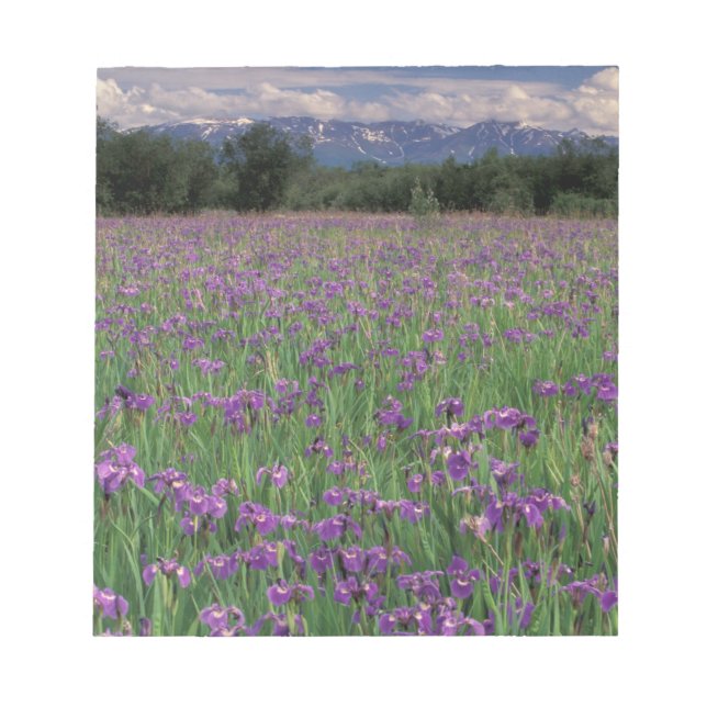 USA, Alaska, Anchorage, Eklutna Notizblock (Vorderseite)