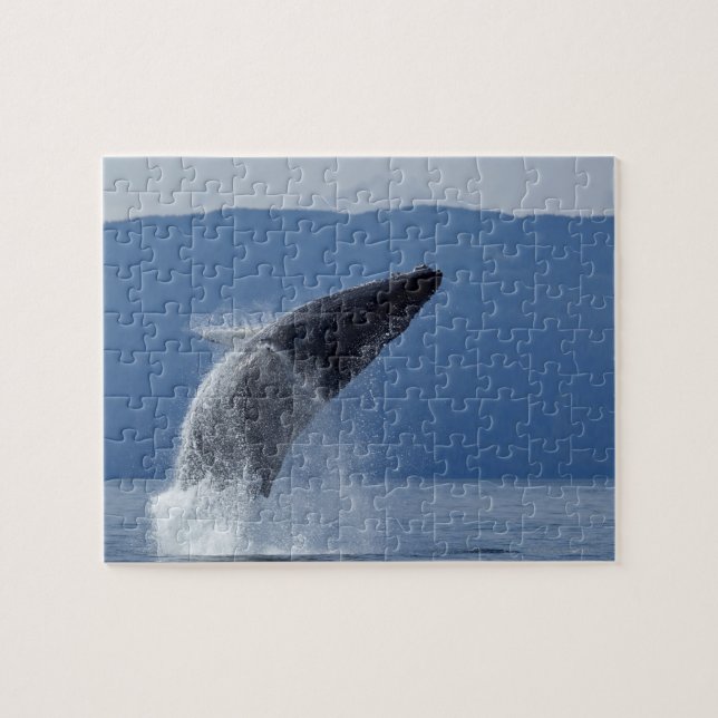 USA, Alaska, Angoon, Buckel-Wal (Megaptera Puzzle (Horizontal)