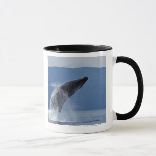 USA, Alaska, Angoon, Buckel-Wal (Megaptera Tasse