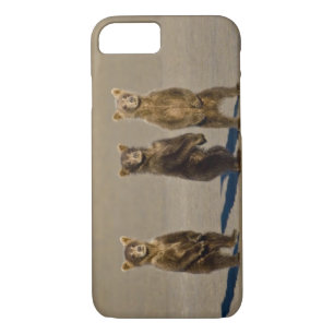 USA. Alaska. Bärenjungen iPhone 8/7 Hülle