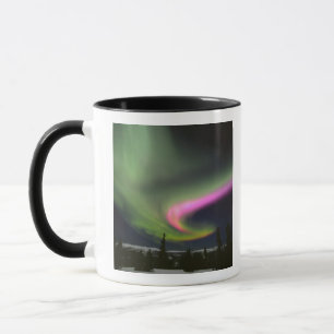 USA, Alaska, Chena Hot Springs. Aurora 2 Tasse