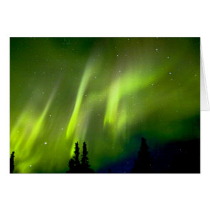 USA, Alaska, Chena Hot Springs.Aurora 3