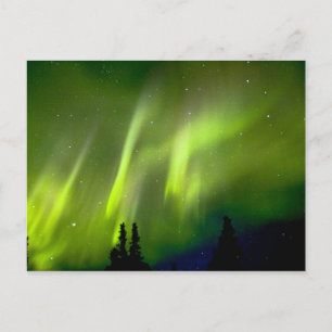 USA, Alaska, Chena Hot Springs. Aurora 3 Postkarte