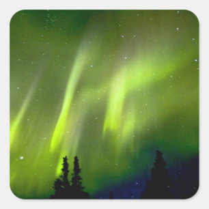 USA, Alaska, Chena Hot Springs. Aurora 3 Quadratischer Aufkleber