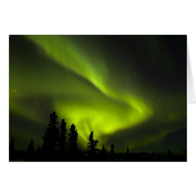 USA, Alaska, Chena Hot Springs. Aurora Borealis 2 (Vorderseite (Horizontal))