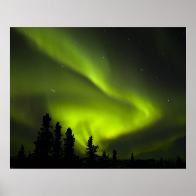 USA, Alaska, Chena Hot Springs. Aurora Borealis 2 Poster (Vorne)