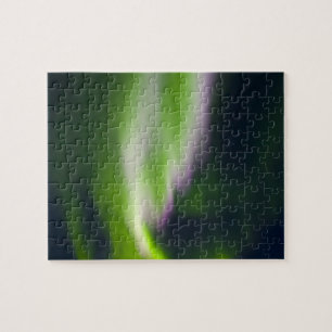 USA, Alaska, Chena Hot Springs. Aurora Borealis Puzzle
