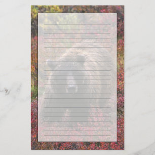 USA, Alaska, Denali-Nationalpark. Grizzlybär Briefpapier