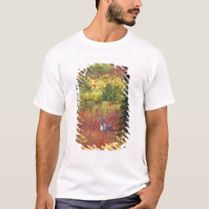 USA, Alaska, Denali-Nationalpark. Karibu T-Shirt