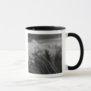 USA, Alaska, Denali-Nationalpark, Luftansicht 3 Tasse