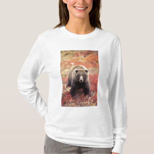 USA, Alaska, Denali NP, weiblicher Grizzly Bar T-Shirt