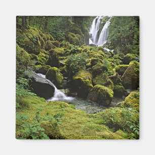 USA, Alaska. Ein Wasserfall und Magnet