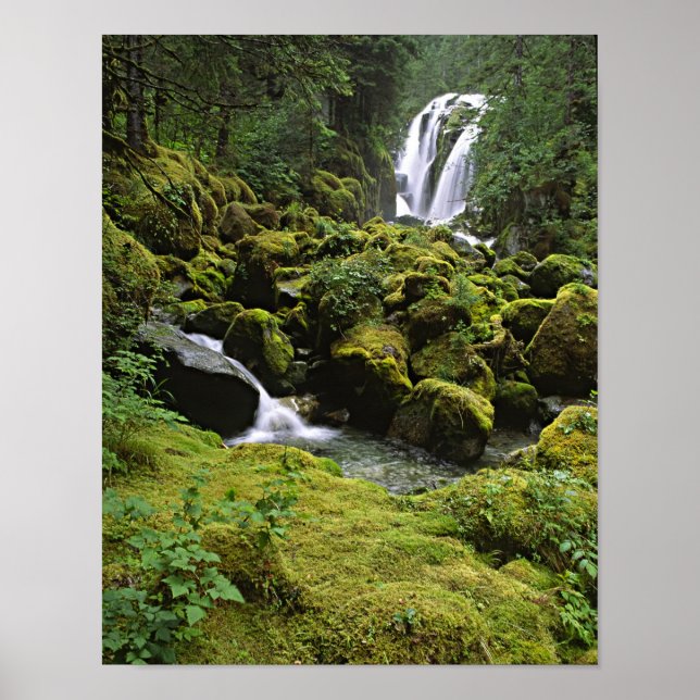 USA, Alaska. Ein Wasserfall und Poster (Vorne)