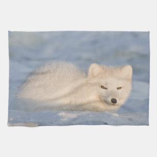 USA, Alaska, Fuchs Geschirrtuch