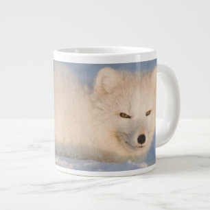 USA, Alaska, Fuchs Jumbo-Tasse