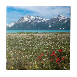 USA, Alaska, Glacier Bay National Park 2 Fliese