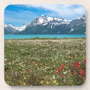 USA, Alaska, Glacier Bay National Park 2 Getränkeuntersetzer