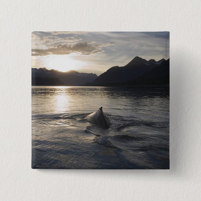 USA, Alaska, Glacier Bay National Park, Button (Vorderseite)