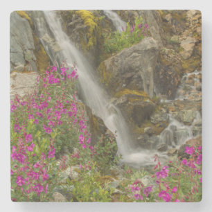 USA, Alaska, Glacier Bay National Park. Feuerweh Steinuntersetzer