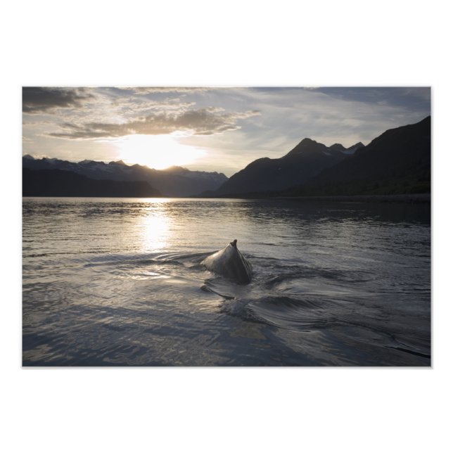 USA, Alaska, Glacier Bay National Park, Fotodruck (Vorne)