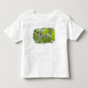 USA, Alaska, Glacier Bay National Park. Kleinkind T-shirt