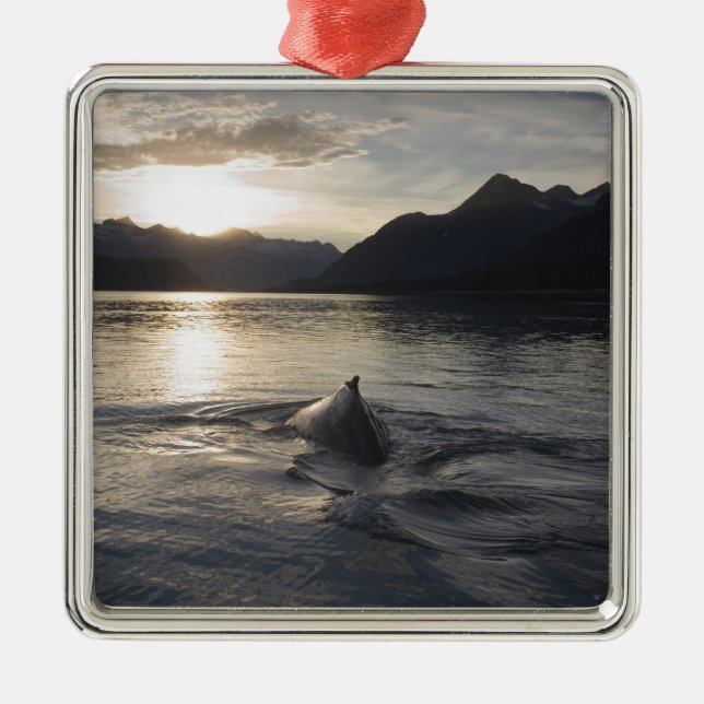 USA, Alaska, Glacier Bay National Park, Ornament Aus Metall (Vorne)