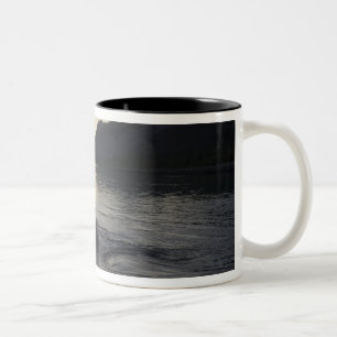 USA, Alaska, Glacier Bay National Park, Zweifarbige Tasse