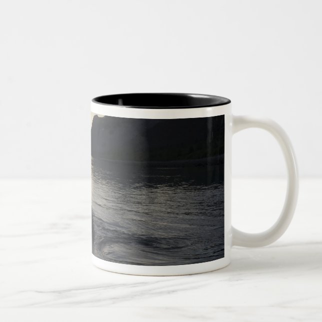 USA, Alaska, Glacier Bay National Park, Zweifarbige Tasse (Rechts)