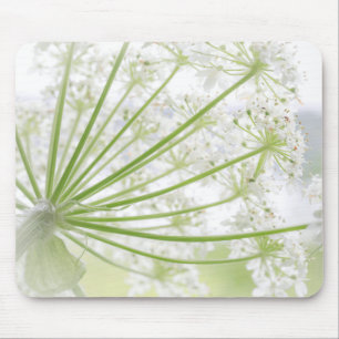 USA, Alaska, Glacier-Bay-Nationalpark 3 Mousepad
