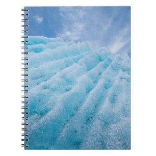 USA, Alaska, Glacier-Bay-Nationalpark 4 Notizblock